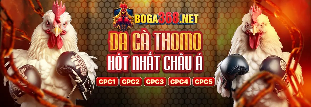 Tương lai phát triển của mksport casino