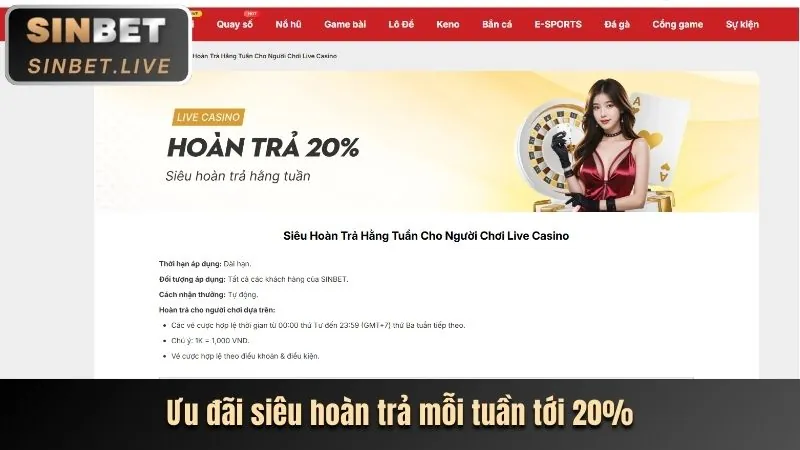 Giao diện quản lý cài đặt cookie trên trình duyệt